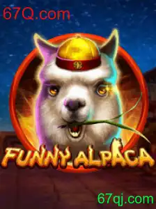 Descubra o Mundo Divertido de FunnyAlpaca